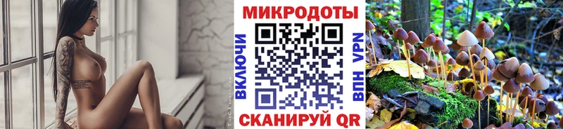 omg как зайти  купить наркотик  Нефтекамск  Галлюциногенные грибы мицелий 